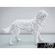 Biała figura psa golden retrievera 54x44x24cm A020