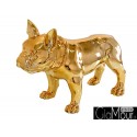 Złota figura pies buldog 64x54x29cm A216