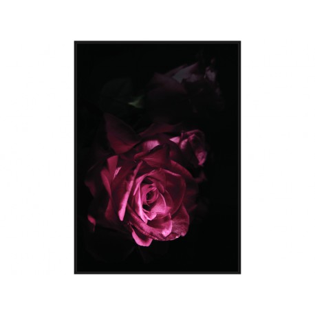 Nowoczesny obraz z różą TOIR25601