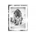 Obraz w lustrzanej ramie gepard 60 x 80 cm S62341