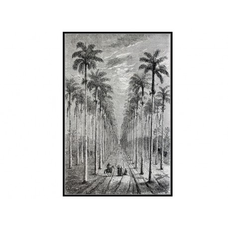 Czarno biały obraz z pejzażem 82,6x122,6 cm L0327