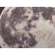 Obraz księżyc na aluminiowej płycie 60x60 cm S22558ALU