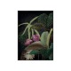 Obraz botaniczny kwiaty 102x142 cm TOIF22652