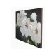 Obraz białe kwiaty na ciemnym tle 90x120 cm KWH7939
