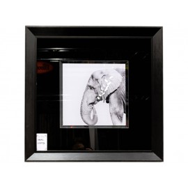 Obraz zdjęcie czarno białe słoń 60x60 cm S61574